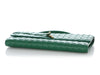 Bottega Veneta Jungle Andiamo Clutch