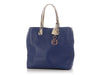 Dior Blue Python Trimmed Vertical Dioraddict Tote