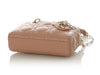 Dior Mini Rose des Vents D-Joy