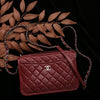 Chanel Small Burgundy Quilted Calfskin Camera Bag