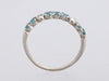 14K White Gold Blue Topaz and Diamond Tiny Skull Band