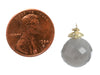 Gabrielle Sanchez Round Gray Moonstone Flyer Earrings