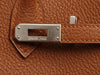 Hermès SO Gold Togo Birkin 25