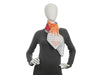 Hermès Plumets et Panaches Silk Scarf 90cm