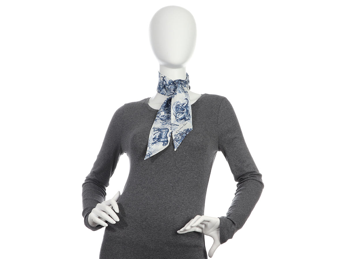 Christian Dior TOILE DE JOUY VOYAGE MITZAH SCARF (34JOU106I606_C431,  34JOU106I606_C410)