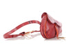Dior Small Multicolor Crossbody Saddle Belt Bag