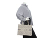Dior Book tote