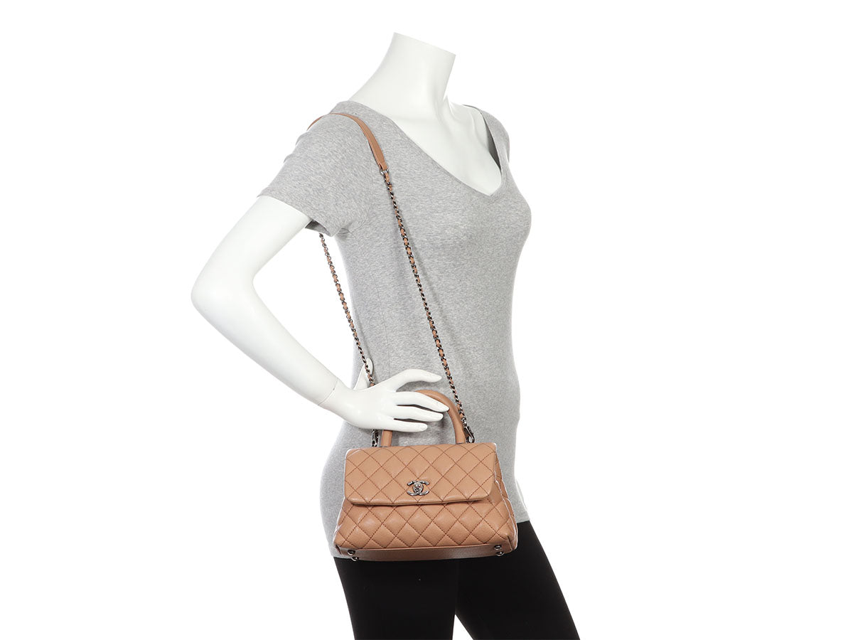 Chanel Medium Coco Handle Bag - Brown Handle Bags, Handbags - CHA881956