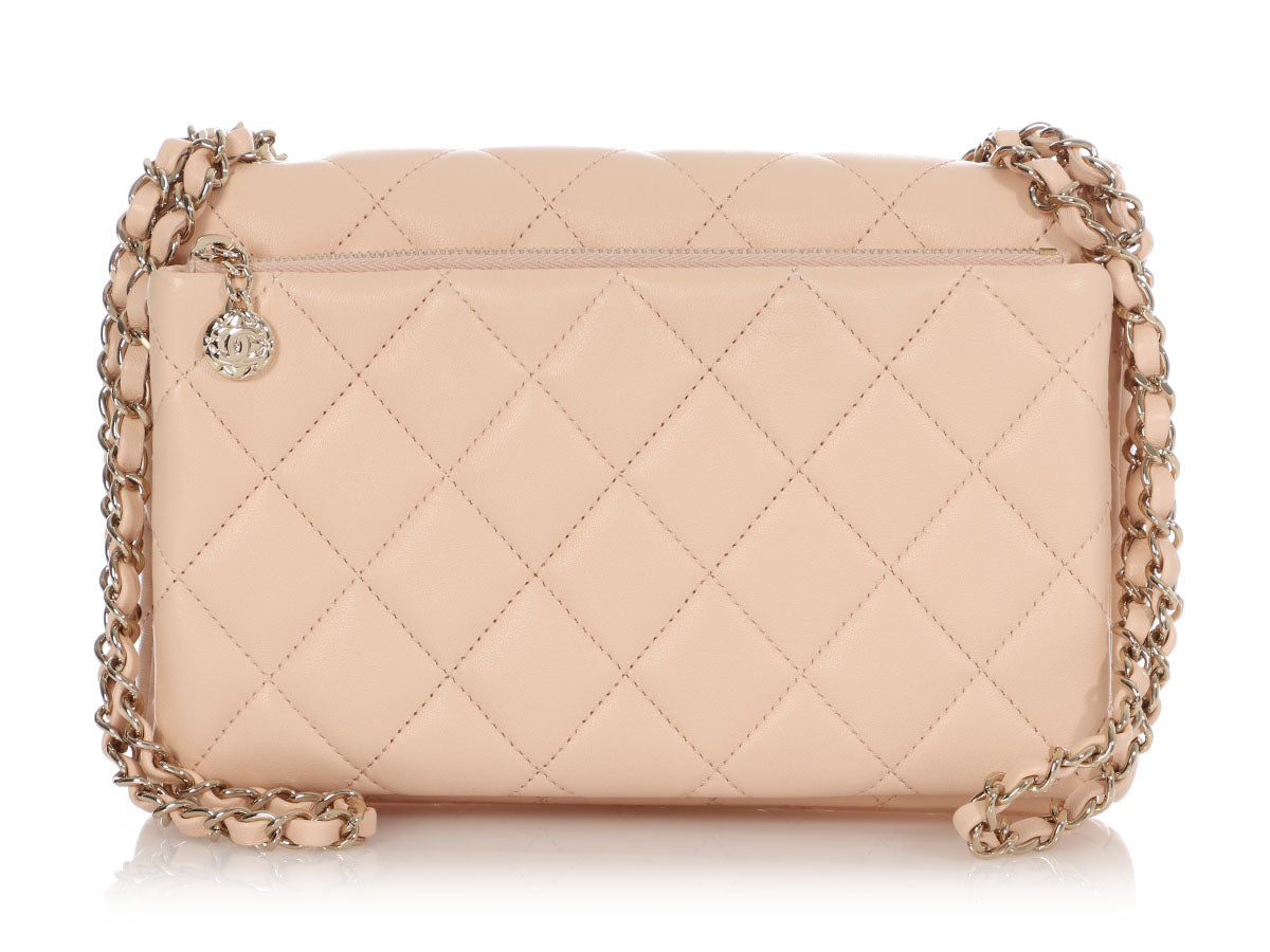 Chanel 2.55 Shoulder Bag in Metallic Leather – Fancy Lux