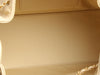 Chanel Small Beige Caviar 25 Bag