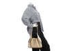 Chanel Small Beige Caviar 25 Bag