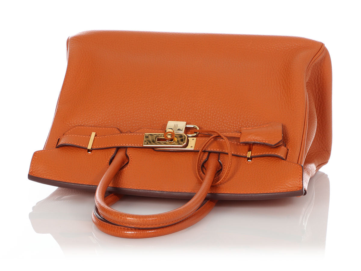 vionarosalina carried #Hermes birkin 30 orange togo leather with