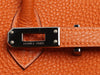 Hermès Potiron and Fauve Togo Verso Birkin 25