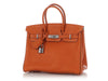 Hermès Potiron and Fauve Togo Verso Birkin 25