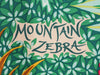 Hermès Mountain Zebra Silk Scarf 90cm