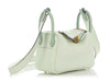 Hermès Mini Vert Fizz Swift and Alligator Lindy Touch 20