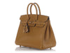 Hermès Poussière Tadelakt Birkin 25