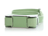 Hermès Vert Criquet and Vert Fizz Chèvre Mysore Geta