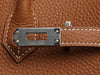 Hermès Gold Togo Birkin 25