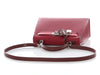 Hermès Tricolor Epsom Kelly 25