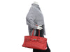 Hermès Bougainvillea Clémence JPG Birkin 42