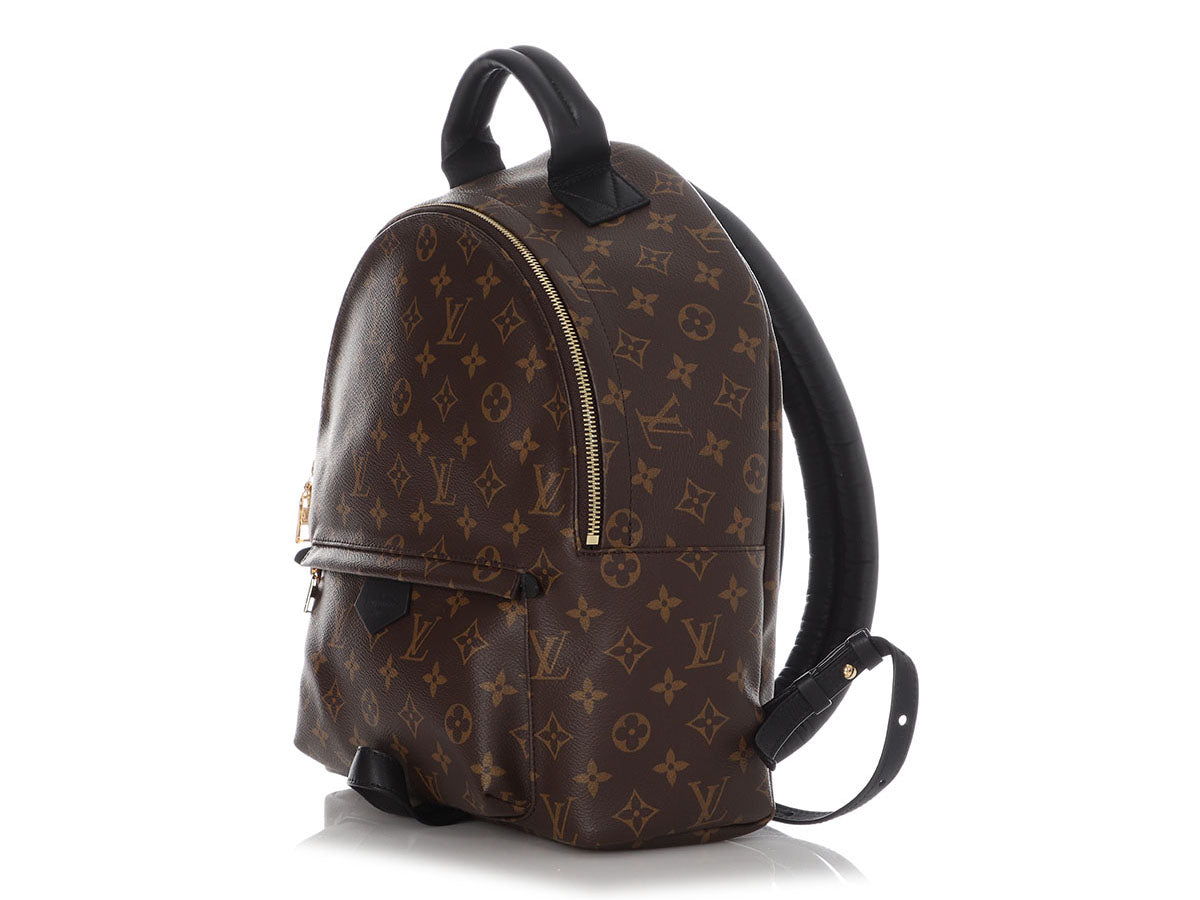 Louis Vuitton, Bags, Louis Vuitton Palm Springs Monogram Backpack  Crossbody Bag Ca58