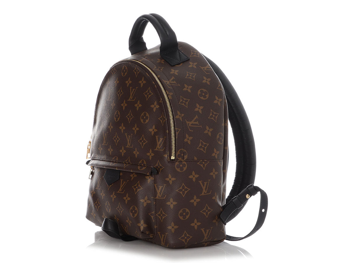 Louis Vuitton Palm Springs Backpack Bag Reference Guide - Spotted Fashion