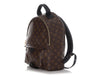 Louis Vuitton Monogram Palm Springs Backpack MM