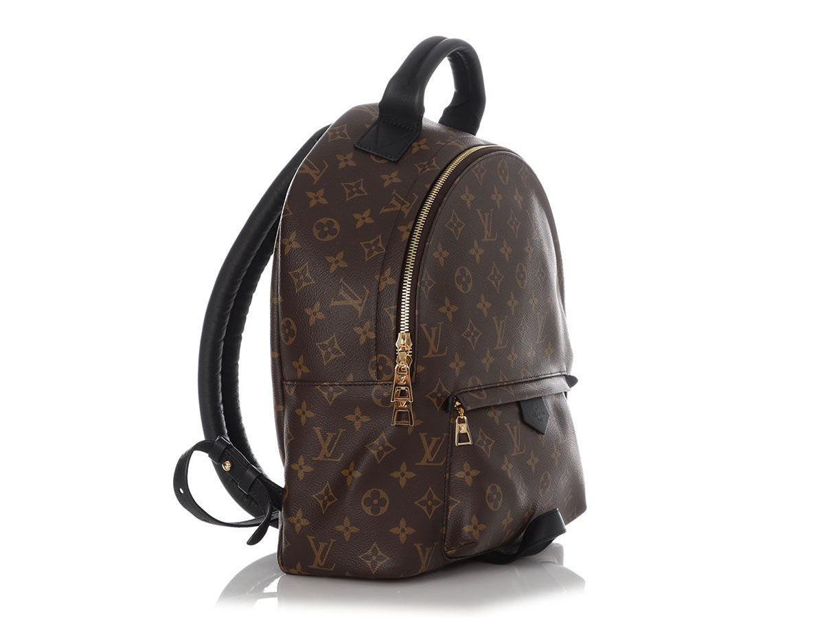 Louis Vuitton Palm Springs Monogram (updated Zipper) mm