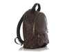 Louis Vuitton Monogram Palm Springs Backpack MM