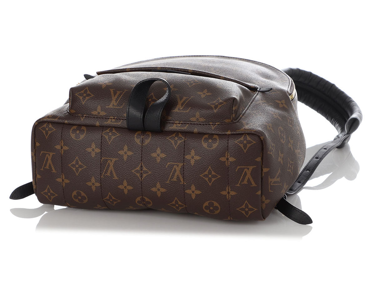 Louis Vuitton Monogram Black Palm Spring MM Bag – The Closet