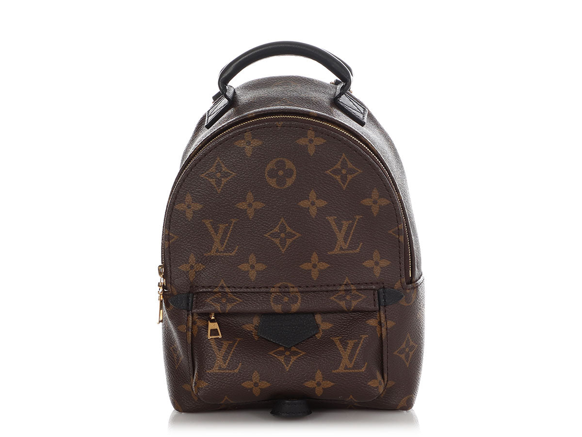 Louis Vuitton Palm Springs Mini Monogram