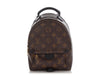Louis Vuitton Mini Monogram Palm Springs Backpack