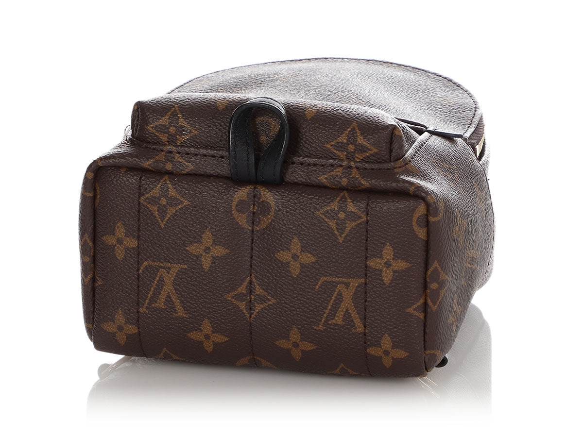 Louis Vuitton Mini Monogram Palm Springs Backpack