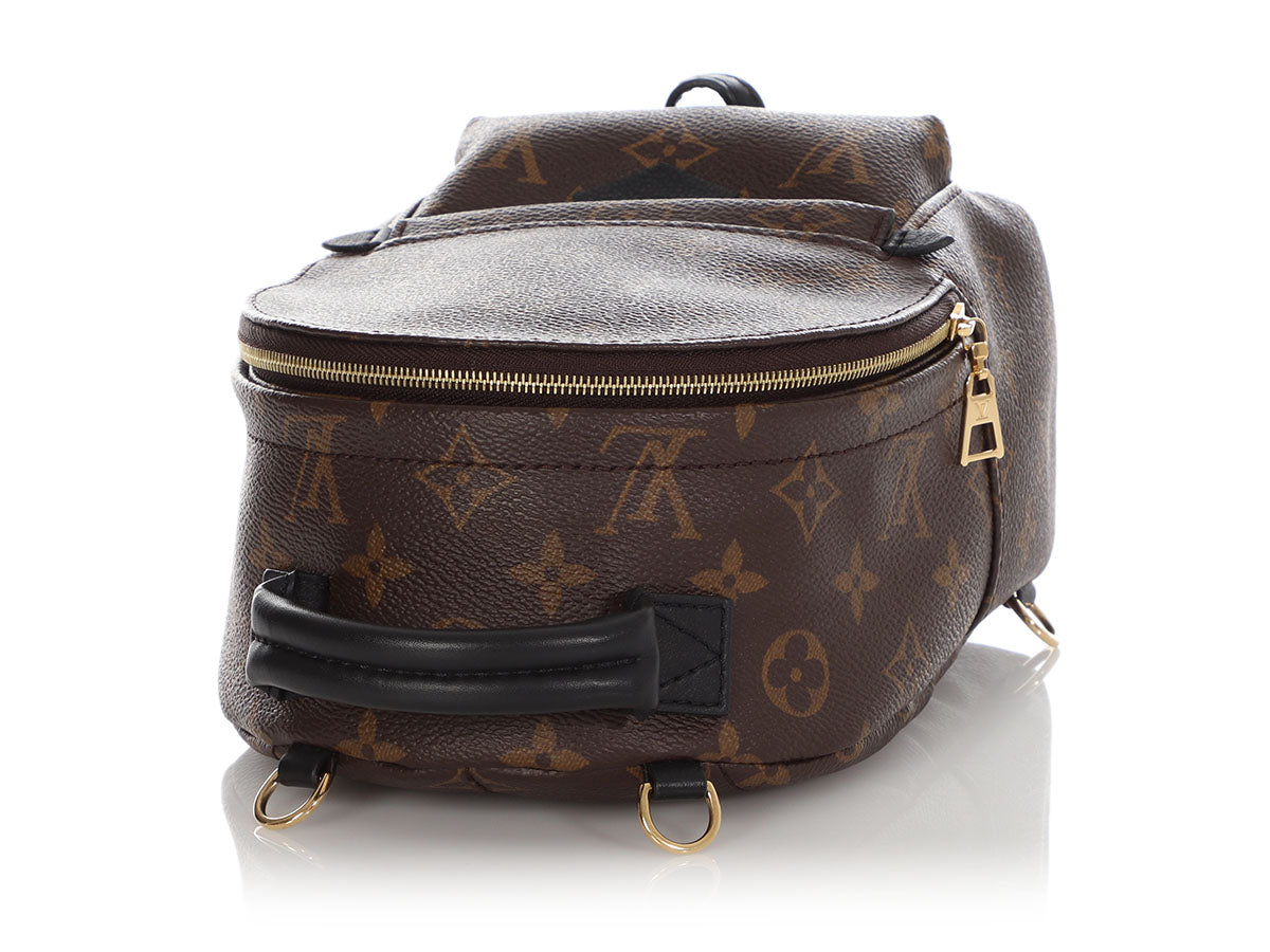 Louis Vuitton Backpack Palm Springs Mini Monogram Canvas School