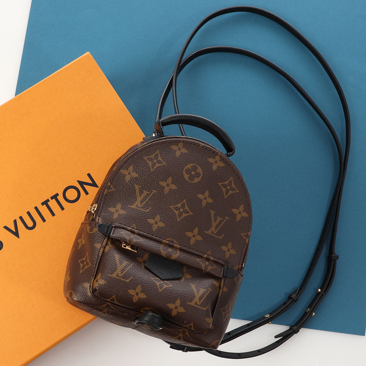 Louis Vuitton Mini Monogram Palm Springs Backpack