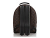 Louis Vuitton Monogram Palm Springs Backpack MM