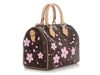 Louis Vuitton LV x TM Cherry Blossoms Speedy 25
