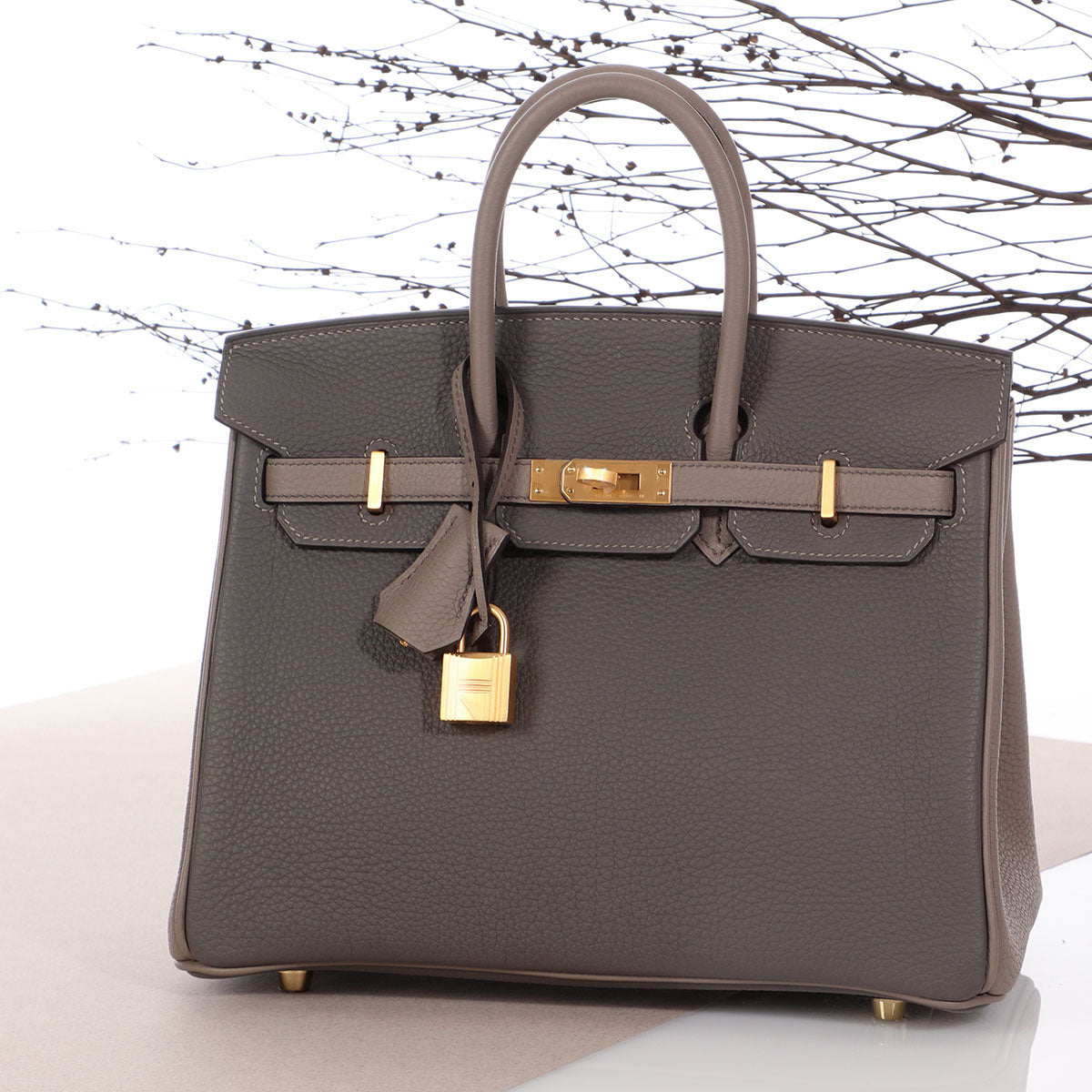 Hermès SO Etain Togo and Gris Asphalte Birkin 25