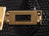 Hermès Black Shiny Lizard Birkin 25