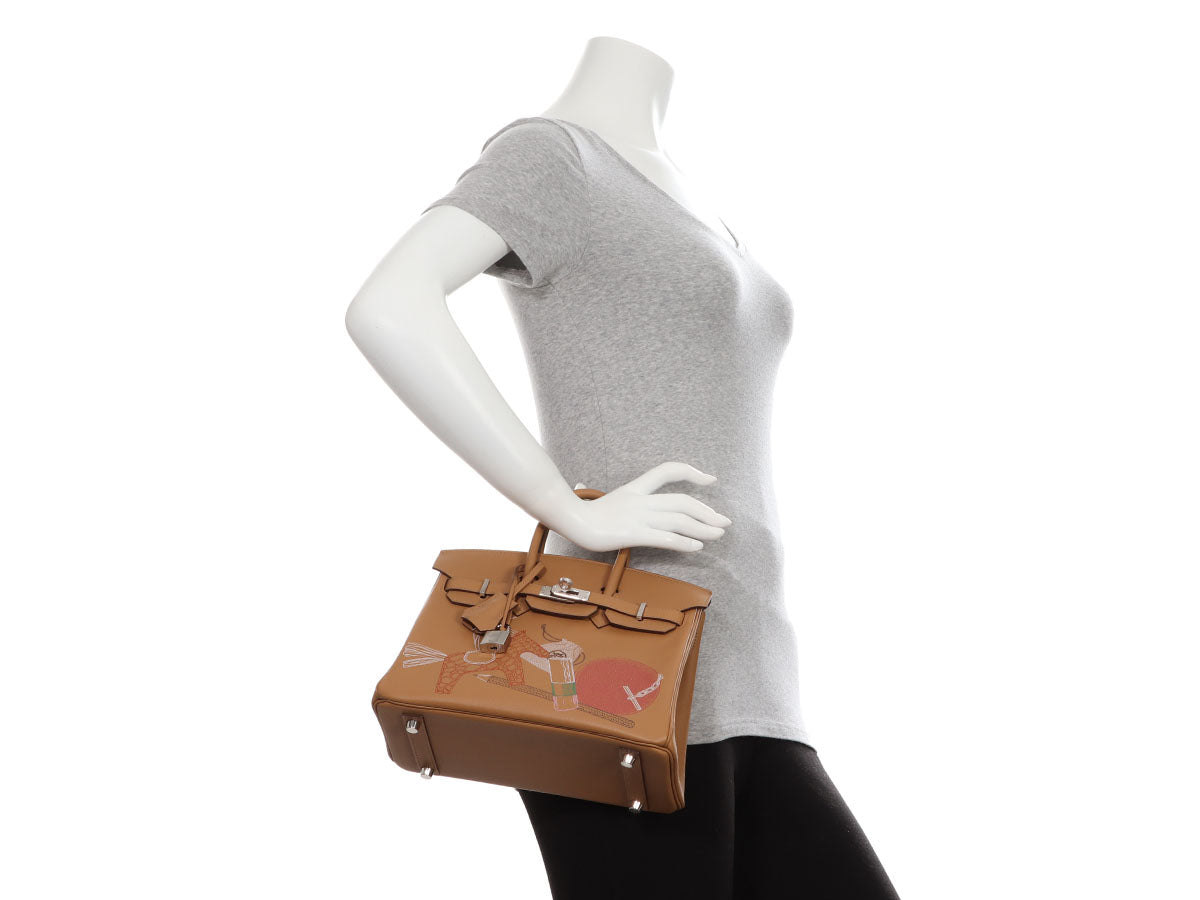HERMÈS Limited Edition Birkin In & Out 25 handbag in White Swift