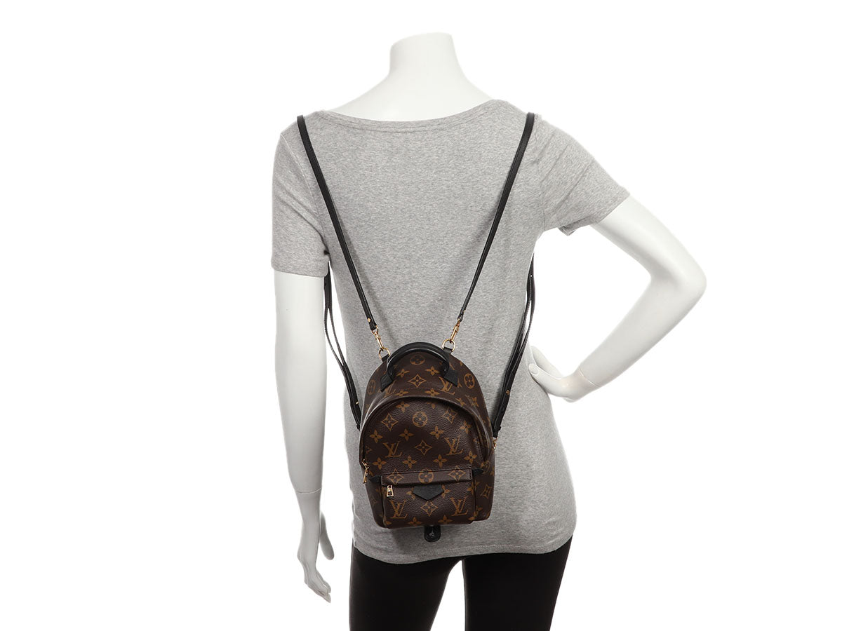 Louis Vuitton Mini Monogram Palm Springs Backpack by Ann's Fabulous Finds