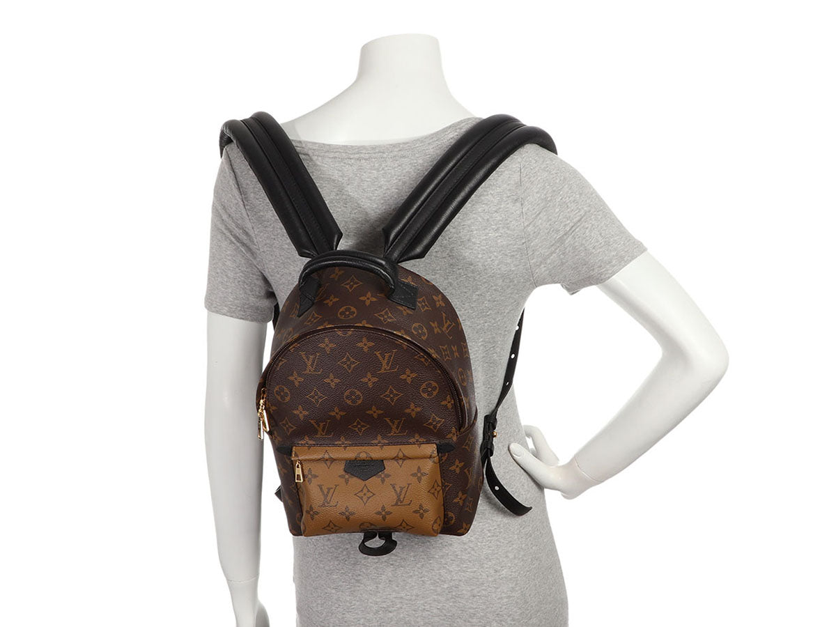 Brown Louis Vuitton Monogram Reverse Palm Springs PM Backpack – Designer  Revival
