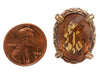 Stephen Dweck Bronze Citrine Clip-On Earrings